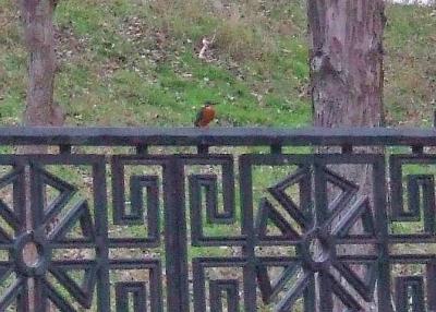 Прикрепленное изображение: 11a1.jpg